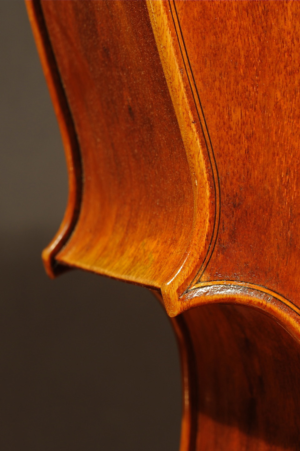 Rabut Cello - Ruggieri Model