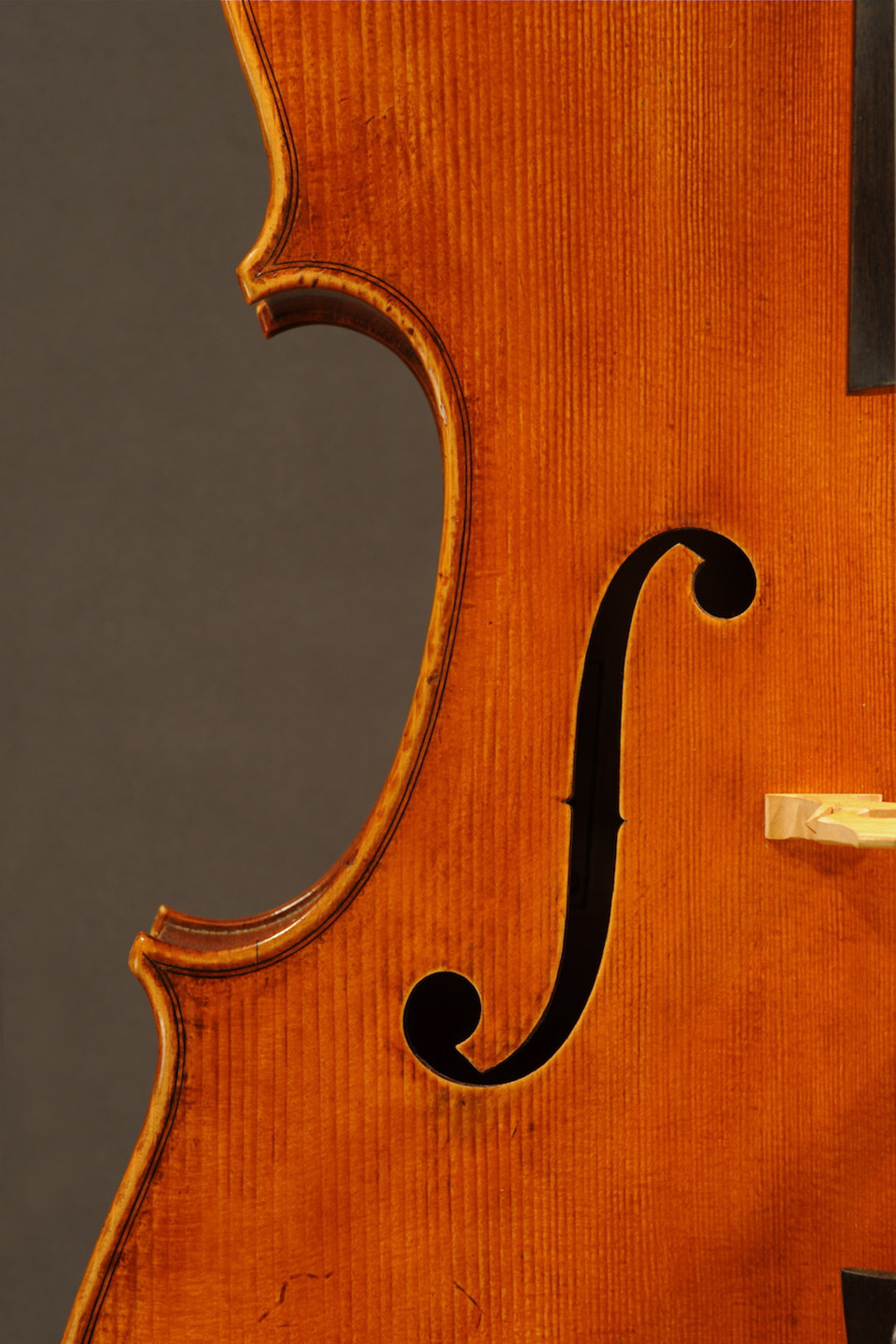 Rabut Cello - Ruggieri Model