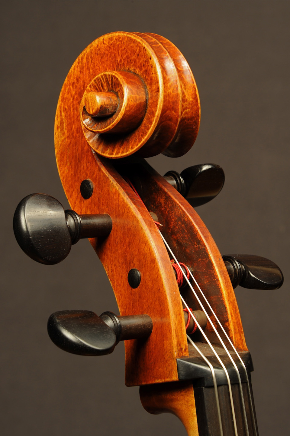 Rabut Cello - Ruggieri Model