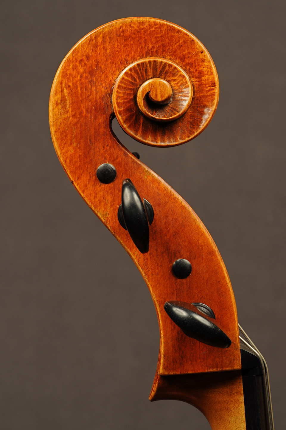 Rabut Cello - Ruggieri Model