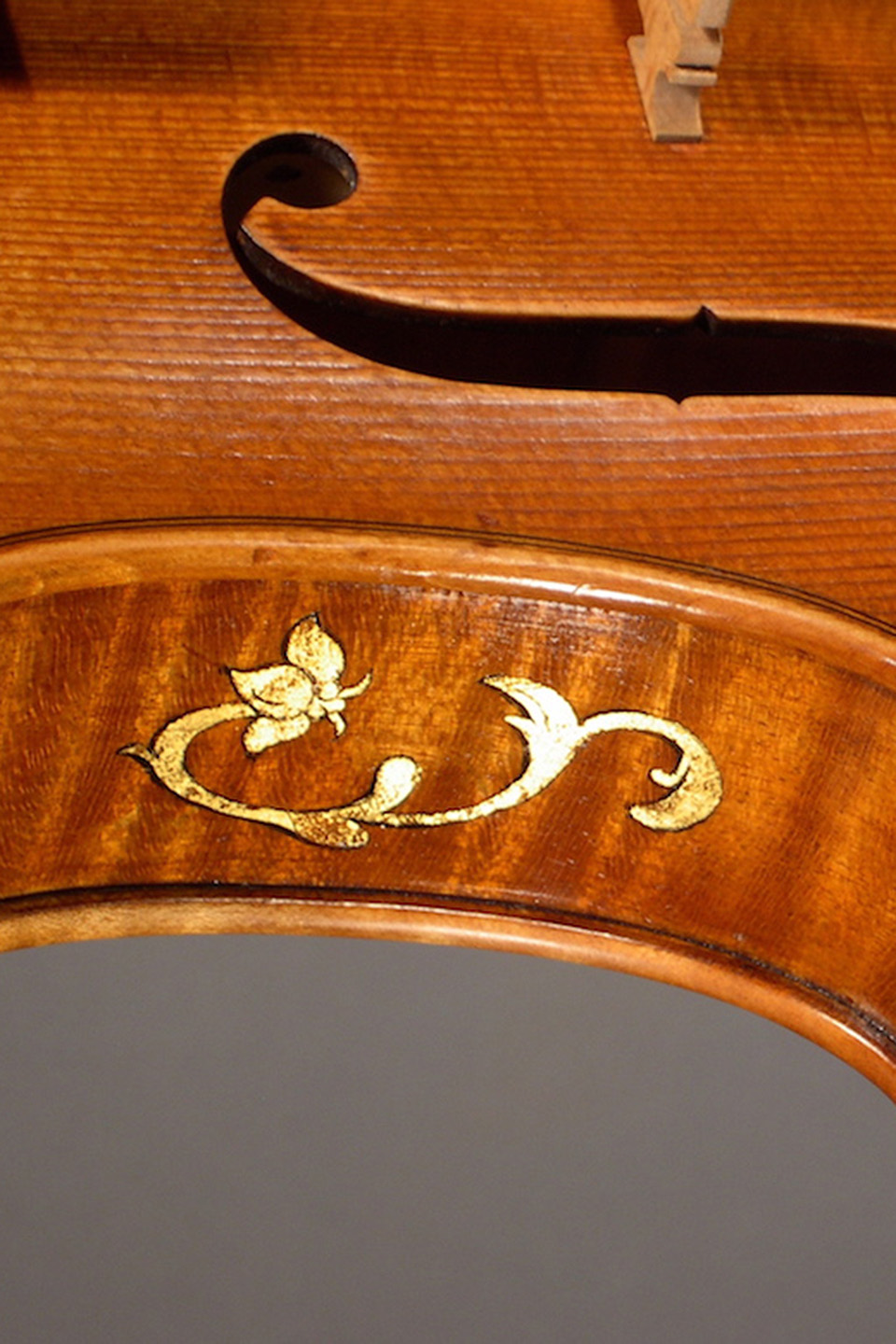 Rabut Viola - Amati Model