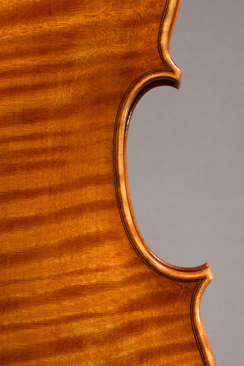 Rabut Viola - Amati Model